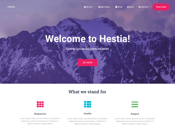 Hestia-top-best-free-popular-WordPress-themes-EverestThemes