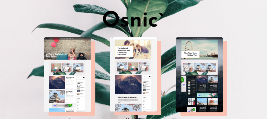Osnic-top-premium-seo-friendly-WordPress-themes-EverestThemes
