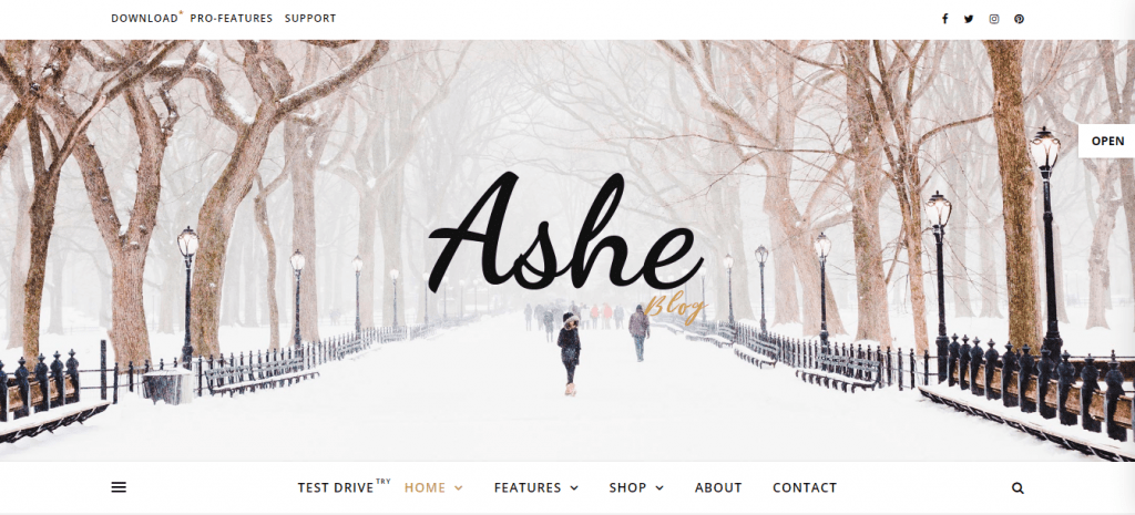 AsheBlog-best-free-responsive-blog-WordPress-themes-EverestThemes