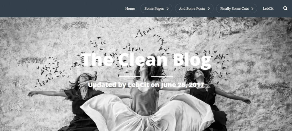 CleanBlog-top-best-free-blog-WordPress-themes-EverestThemes
