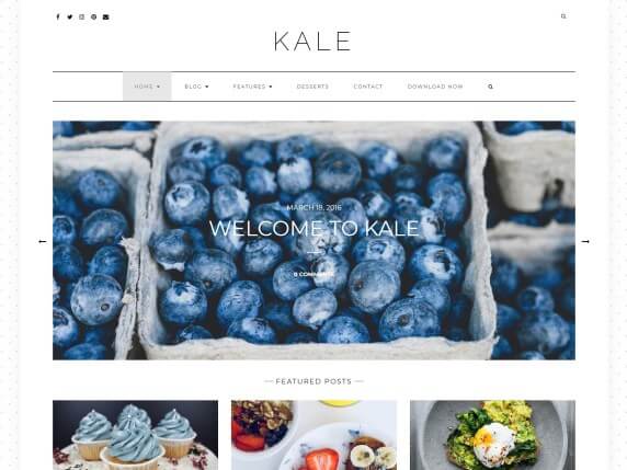 Kale-top-free-blog-responsive-blog-WordPress-themes-EverestThemes