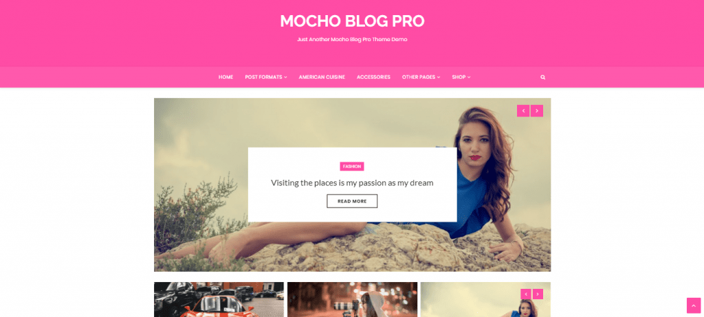 Mocho-top-best-premium-blog-WordPress-theme-EverestThemes