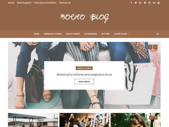 Mocho-Blog-top-best-free-feminine-WordPress-themes-EverestThemes