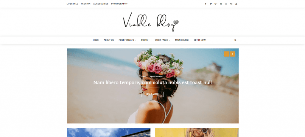 ViableBlog-best-free-blogging-WordPress-themes-EverestThemes