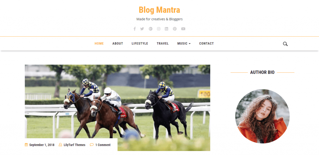 BlogMantra-best-free-WordPress-Themes-for-Personal-Blog-EverestThemes