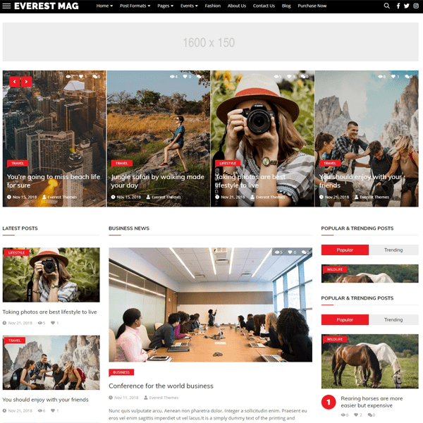 EverestNews-best-free-responsive-news-WordPress-themes-EverestThemes