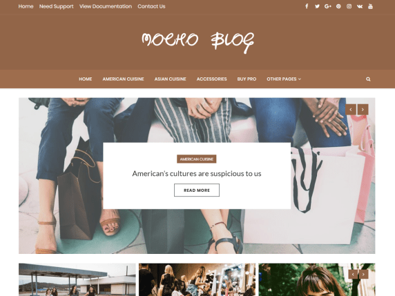 MochoBlog-best-free-blog-WordPress-themes-EverestThemes