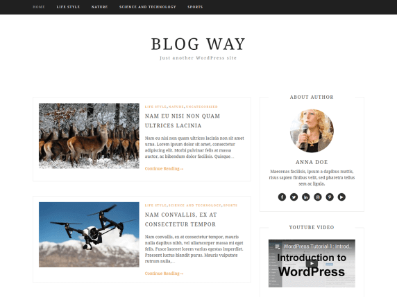 BlogWay-best-free-WordPress-themes-for-business-EverestThemes