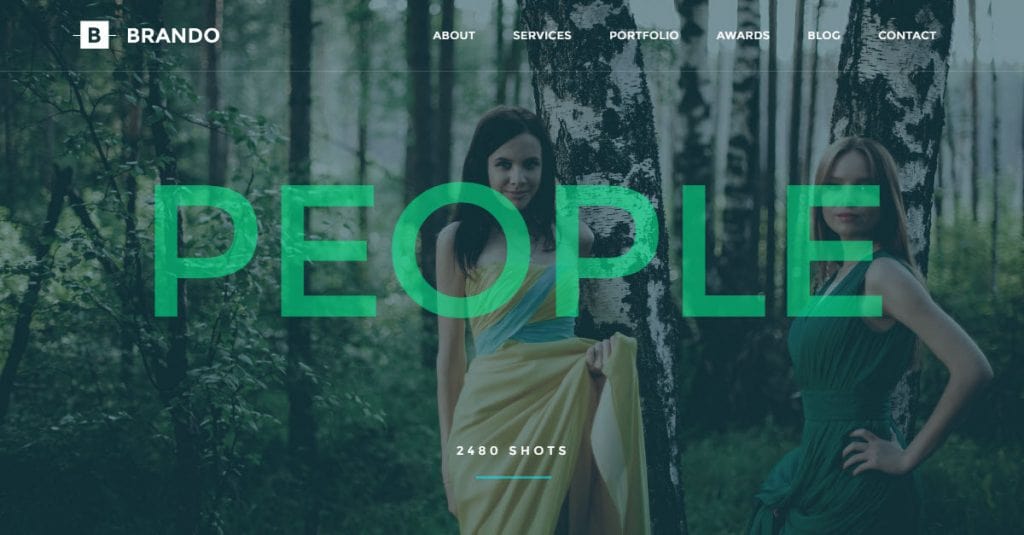 Portfolio WordPress Themes
