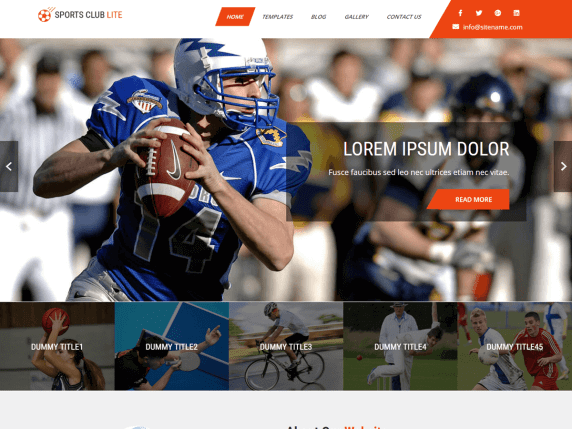 Best Free Sports WordPress Themes for Your Website EverestThemes