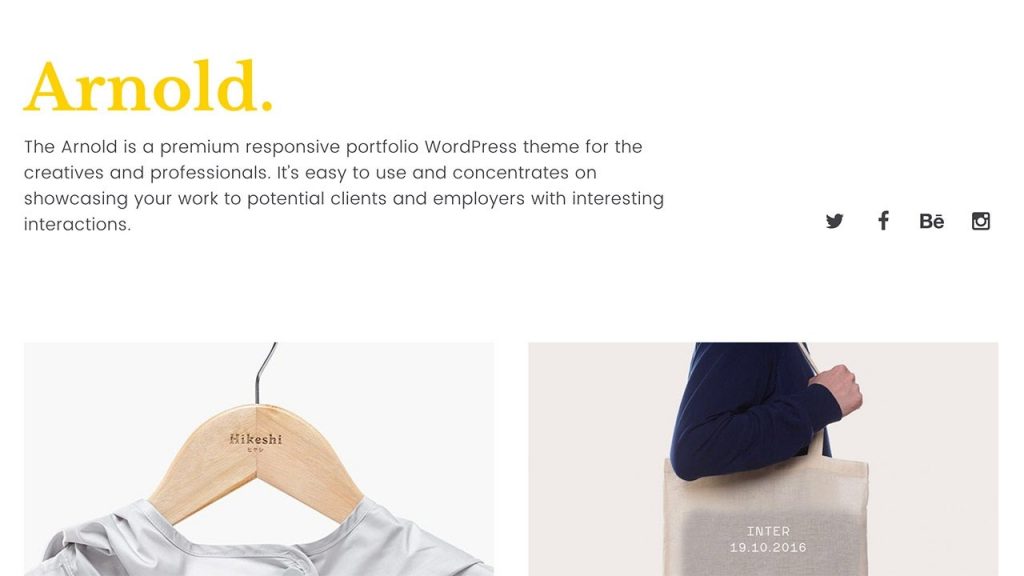 Portfolio WordPress Themes