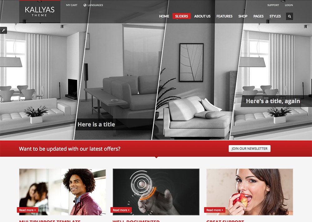 Portfolio WordPress Themes