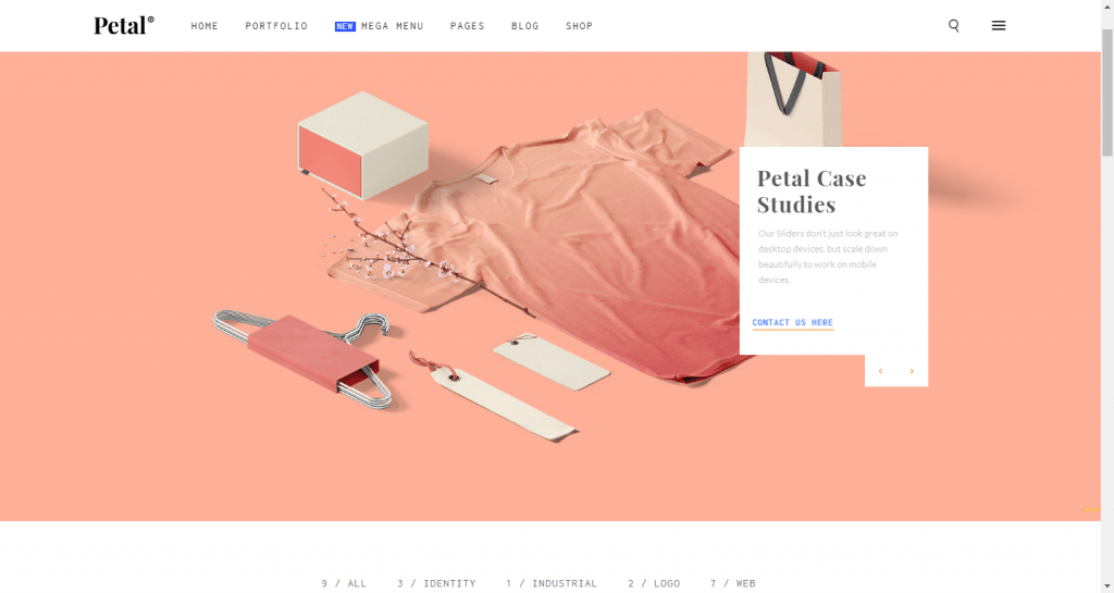 Portfolio WordPress Themes