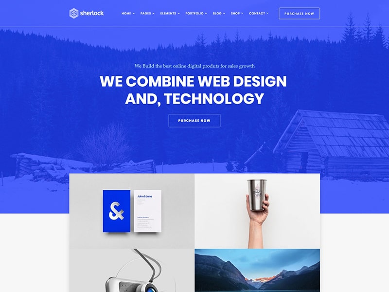 Portfolio WordPress Themes