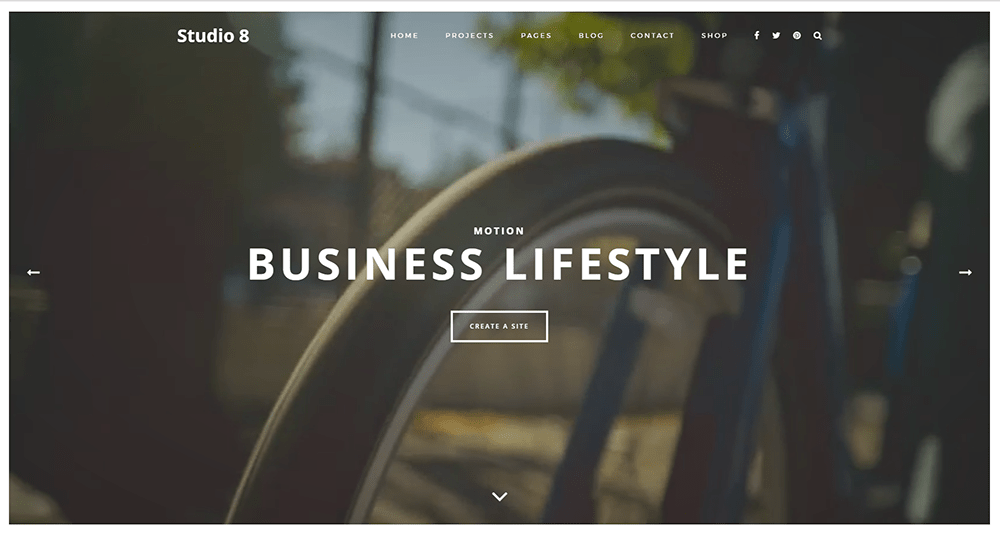 Portfolio WordPress Themes